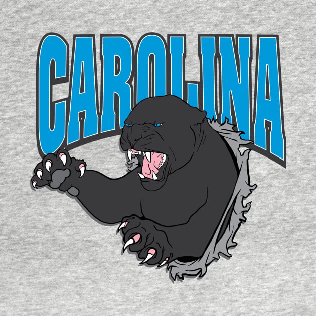 Carolina Football by stayfrostybro